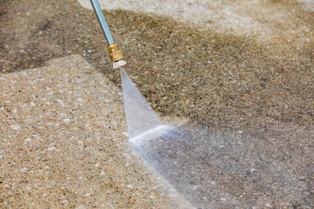 Reliable Dagsboro, DE Pressure washing Solutions